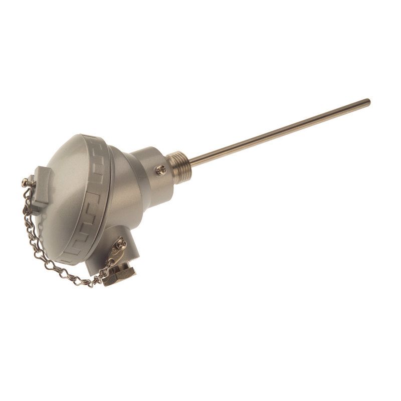 Sensor Pt100 con conexin a proceso y cabezal de terminal
