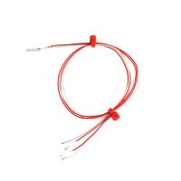 Detectores de resistencia de platino con cables extendidos, pelcula delgada - Pt100 Clase B-2 hilos - Longitud de cable extendida de 300 mm