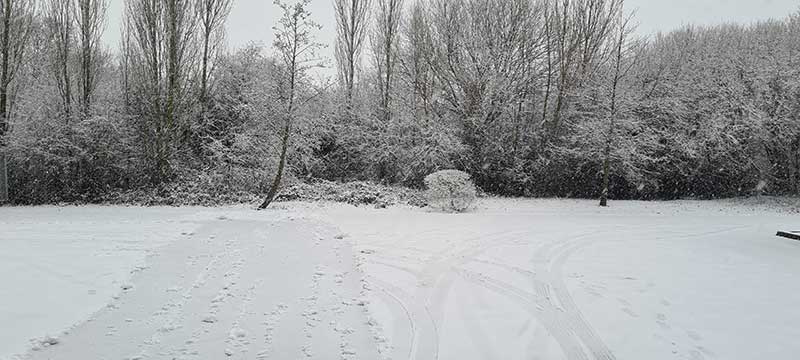 Snow Disruption